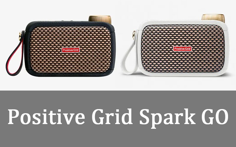 Positive Grid Spark GO